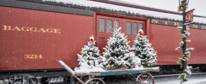 Christmas trees with snow on them on a cart outside the baggage train car.